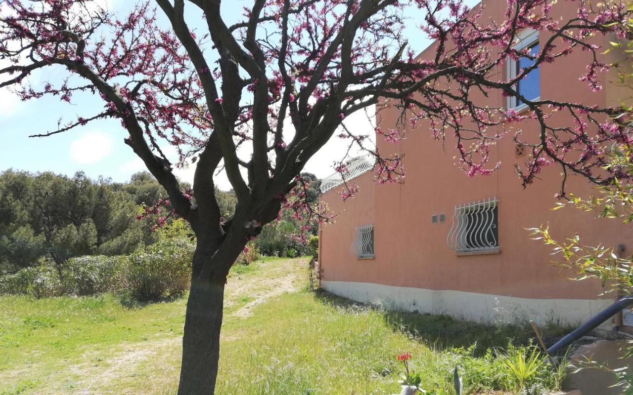 Studio 28M2 Climatise,Wifi, Proche Des Calanques,Plages La Ciotat Dış mekan fotoğraf