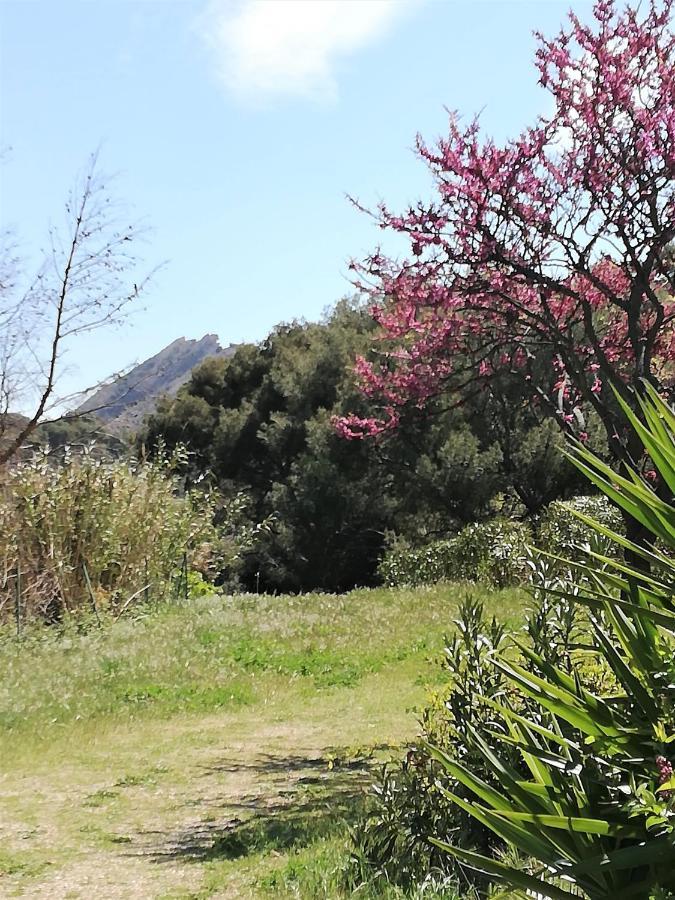 Studio 28M2 Climatise,Wifi, Proche Des Calanques,Plages La Ciotat Dış mekan fotoğraf