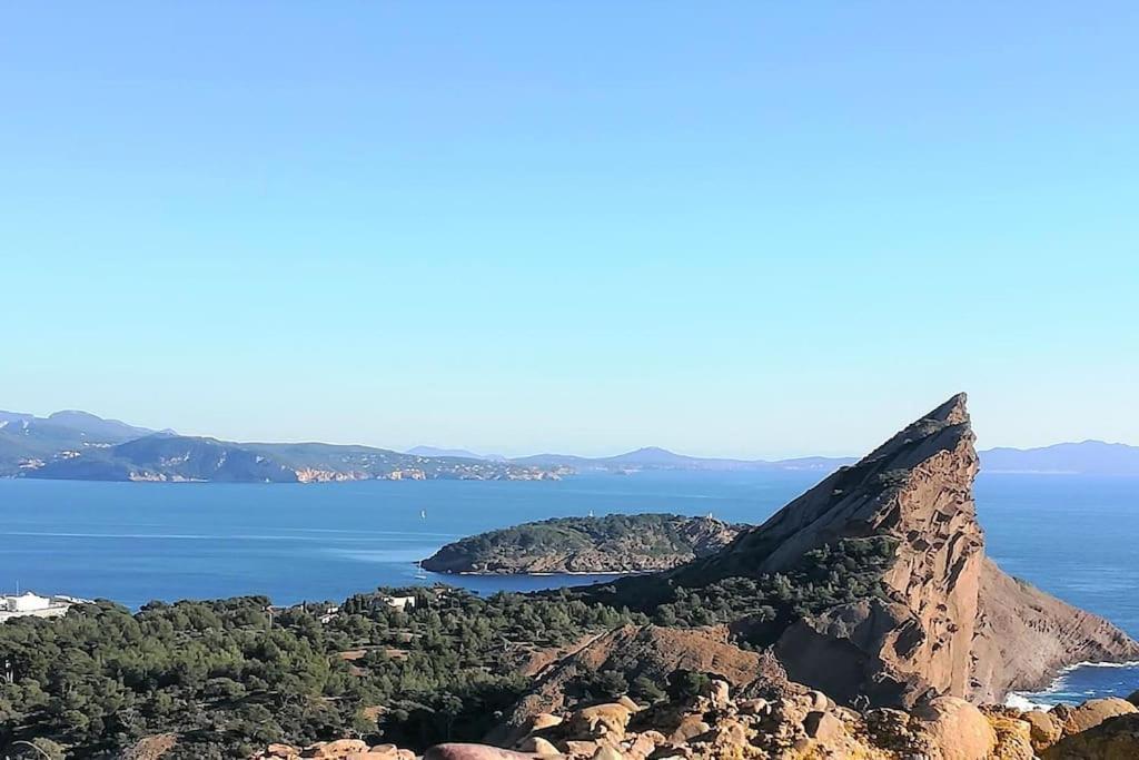 Studio 28M2 Climatise,Wifi, Proche Des Calanques,Plages La Ciotat Dış mekan fotoğraf